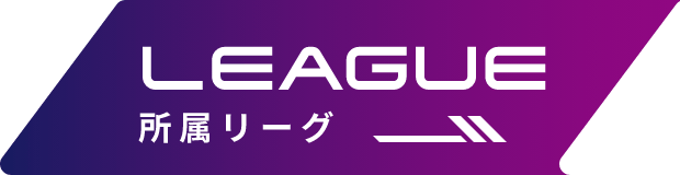 所属リーグ